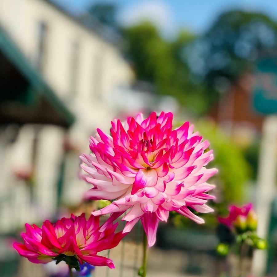 Milton Hotel Llanwern Village Newport (Gwent) Zewnętrze zdjęcie